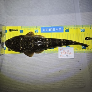 20250422_204928_コピー