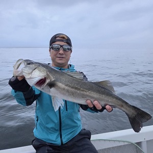 20250422_182136_コピー