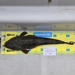 20250423_175129_コピー