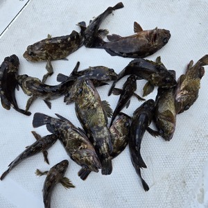 20250426_083854_コピー