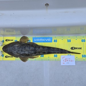 20250426_083343_コピー