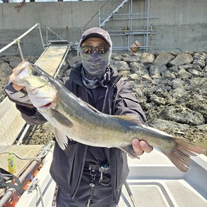 20250427_105802_コピー