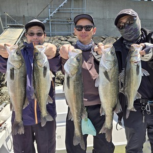 20250427_111351(0)_コピー