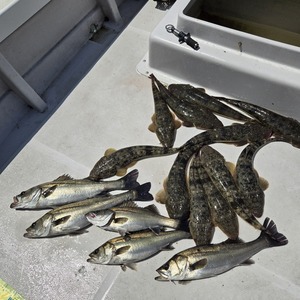 20250427_111612_コピー