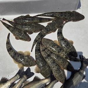 20250427_111624_コピー