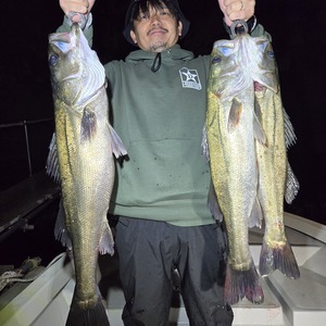 20250427_211835_コピー