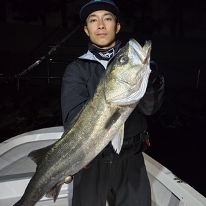 20250427_211342_コピー