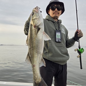 20250427_172021_コピー