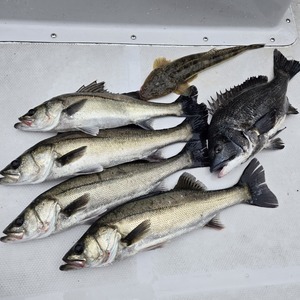 20250428_163742_コピー