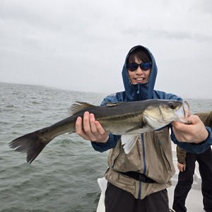 20250428_141004_コピー