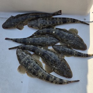 20250430_155758_コピー