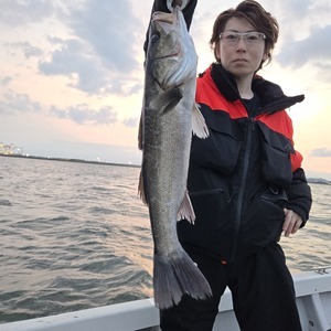 20250501_184328_コピー