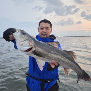 20250501_184213_コピー