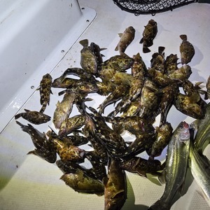 20250502_223637_コピー