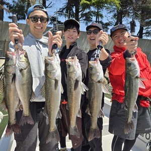 20250504_122912_コピー