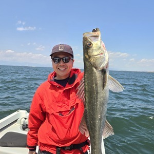 20250504_110256_コピー