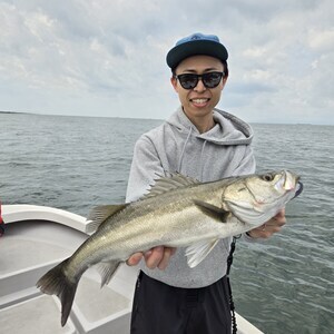 20250504_100410_コピー