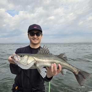 20250504_084450_コピー