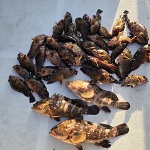 20250504_173403_コピー