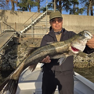 20250504_173236_コピー