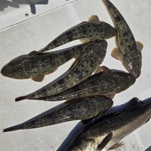 20250505_100003_コピー