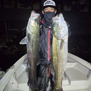 20250506_220658_コピー