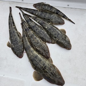 20250510_172240_コピー