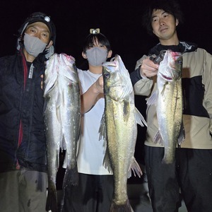 20250511_000916_コピー