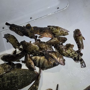 20250511_205956_コピー