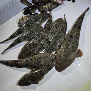 20250511_210005_コピー