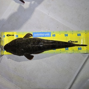 20250511_210530_コピー