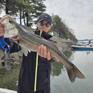 20250512_100017_コピー