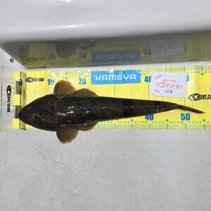 20250513_115848_コピー