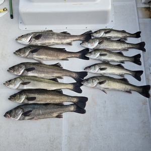 20250515_161251_コピー