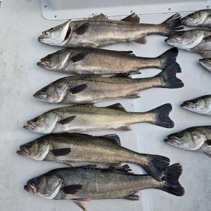 20250515_161203_コピー