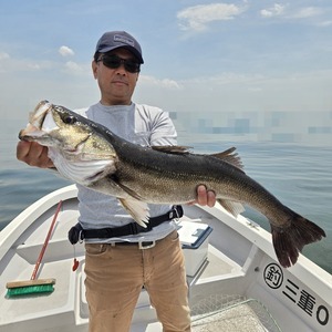 20250515_114138_コピー