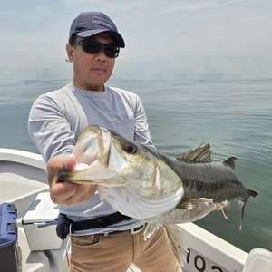 20250515_113913_コピー