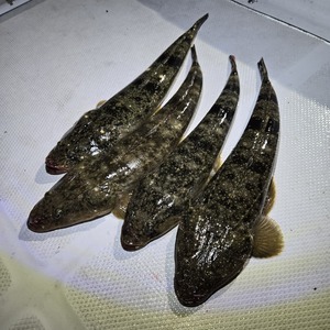 20250514_022511_コピー