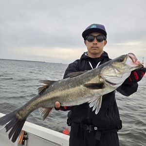 20250516_170551_コピー