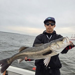 20250516_170351_コピー