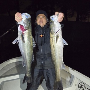 20250518_023702_コピー