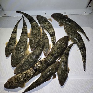 20250518_194621_コピー