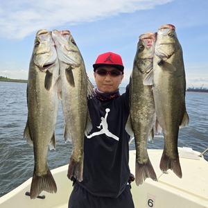 20250522_124651_コピー