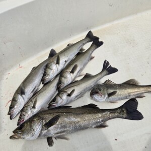 20250522_124458_コピー