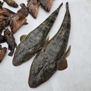 20250524_114227_コピー