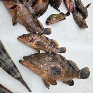 20250524_114222_コピー