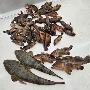 20250524_114153_コピー