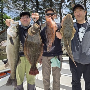 20250601_114051_コピー