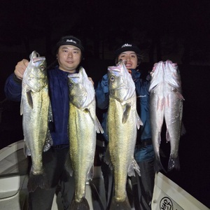 20250601_224609_コピー