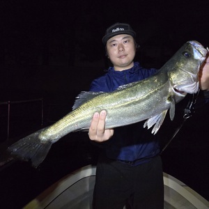 20250601_224440_コピー